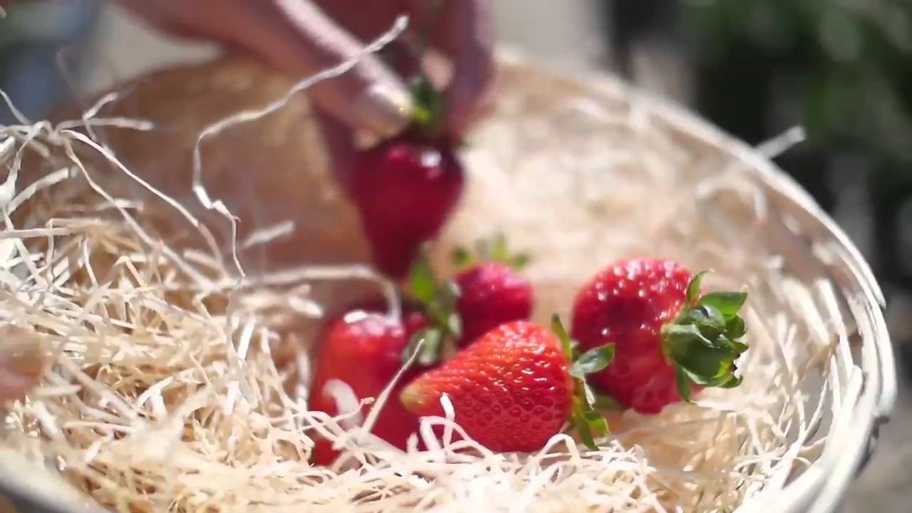 Corporate video production company